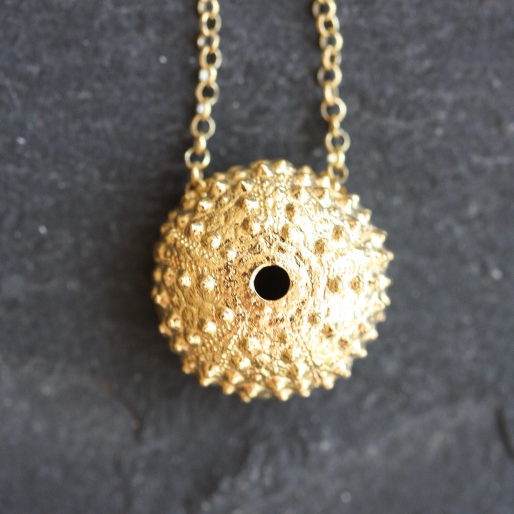 Gold Sea Urchin Seashell Necklace 16" NEW